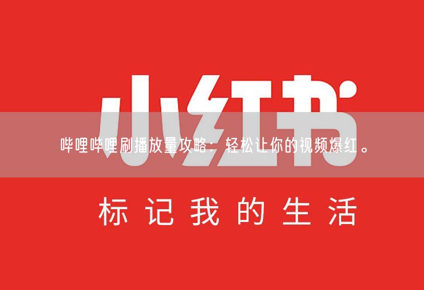 哔哩哔哩刷播放量攻略：轻松让你的视频爆红。
