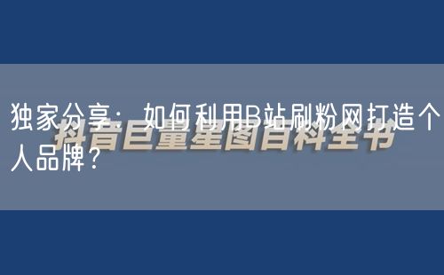 独家分享：如何利用B站刷粉网打造个人品牌？