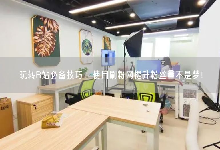 玩转B站必备技巧：使用刷粉网提升粉丝量不是梦！