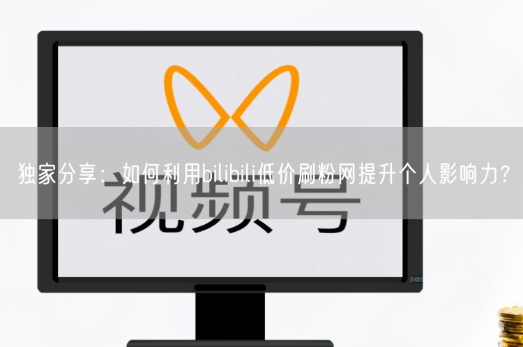 独家分享：如何利用bilibili低价刷粉网提升个人影响力？