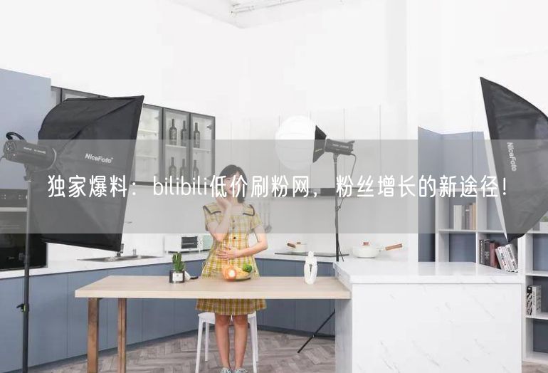 独家爆料：bilibili低价刷粉网，粉丝增长的新途径！