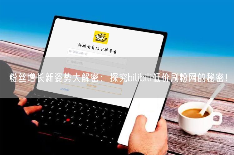 粉丝增长新姿势大解密：探究bilibili低价刷粉网的秘密！