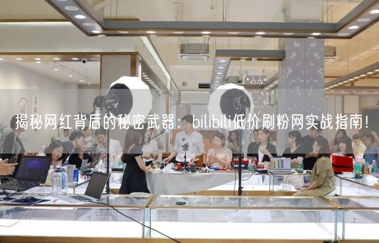 揭秘网红背后的秘密武器：bilibili低价刷粉网实战指南！