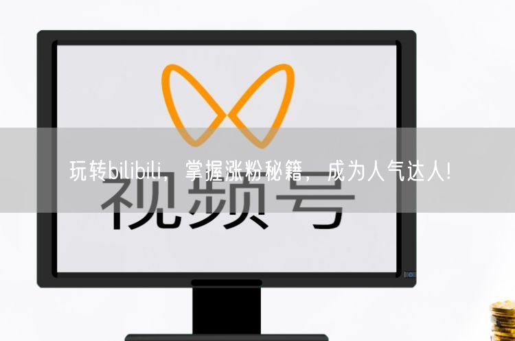 玩转bilibili，掌握涨粉秘籍，成为人气达人!
