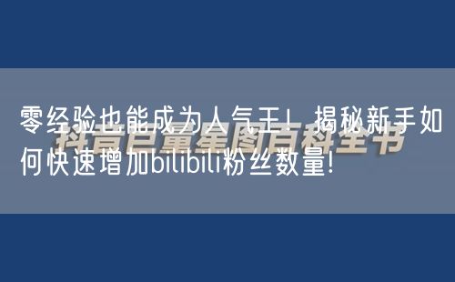 零经验也能成为人气王！揭秘新手如何快速增加bilibili粉丝数量!
